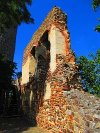 Zřícenina hradu Žebrák (Točník)