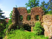 Zřícenina hradu Žebrák (Točník)