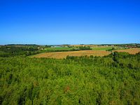 Výhled z rozhledny Babka (Zruč nad Sázavou)