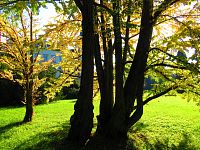 Zámecký park (Vrchlabí)