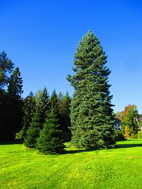 Zámecký park (Vrchlabí)