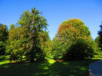 Zámecký park (Vrchlabí)