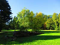 Zámecký park (Vrchlabí)