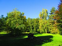 Zámecký park (Vrchlabí)