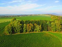 Hřibojedská rozhledna (Hřibojedy)