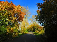 Hřibojedská cesta (Hvězda)