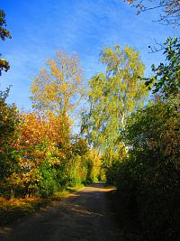 Hřibojedská cesta (Hvězda)