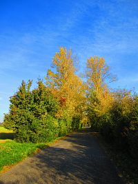 Hřibojedská cesta (Hvězda)