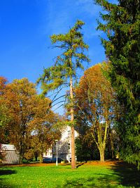 Lázeňský park (Velichovky)