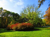 Lázeňský park (Velichovky)