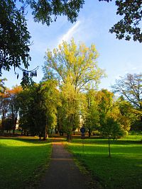 Lázeňský park (Velichovky)