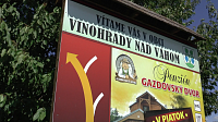 VINOHRADY NAD VÁHOM - vitajte v obci