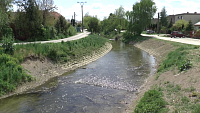 BOHDANOVCE NAD TRNAVOU - rieka pretekajúca obcou