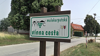 DLHÁ -  vinná cesta