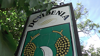 KOŠOLNÁ - dovidenia