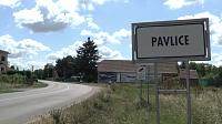 PAVLICE