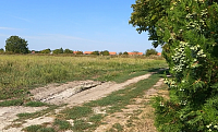 KÚTNIKY