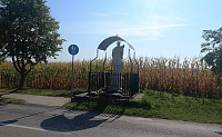 KÚTNIKY