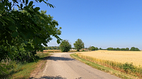 RADAVA