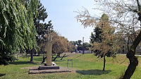 TOPOĽNICA