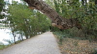 BRATISLAVA - NÁBREŽNÝ PARK - STARÉ LIDO
