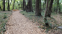BRATISLAVA - NÁBREŽNÝ PARK - STARÉ LIDO