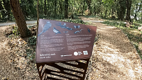 BRATISLAVA - NÁBREŽNÝ PARK - STARÉ LIDO