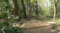 BRATISLAVA - NÁBREŽNÝ PARK - STARÉ LIDO