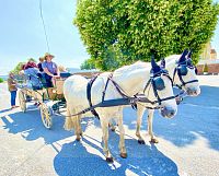 Jízda kočárem je tady populární atrakcí