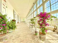 Světlem zalitá oranžerie, kde kdysi přezimovaly teplomilné rostliny