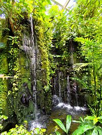 Tropický prales s vodopádem ve skleníku Fatra Morgána, kde motýli létají.