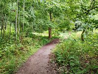 jedna z pěšin vedoucích k pramenům