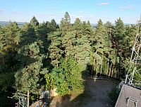 Pohled z rozhledny 4