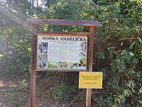 Košutecké jezírko 13