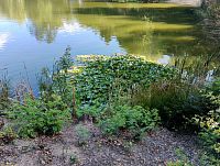 Košutecké jezírko 8