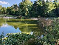 Košutecké jezírko 9