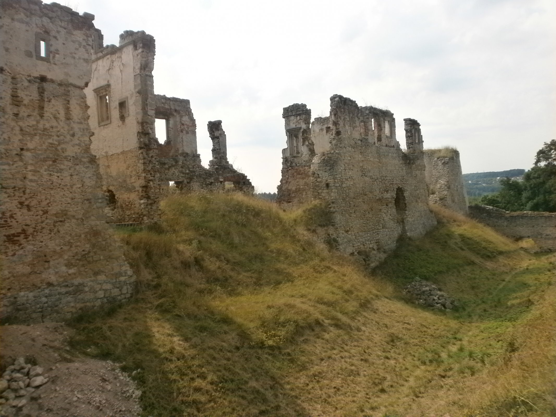 Pod kouzlem Zvířetic