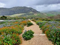 Segesta