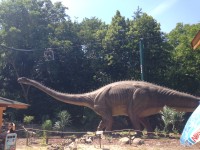 DinoBike – unikátní výprava nad hlavami dinosaurů