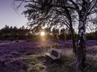 Německé Provence – Lüneburská vřesoviště