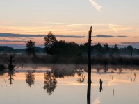 Osterheide, zdroj © Lueneburger Heide 