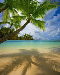 Playa Bavaro, Rep. Dominicana