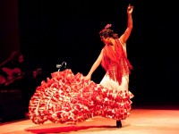 Lekce flamenka od slavné Patricie Guerrero? Hvězda festivalu Ibérica se představí jako lektorka
