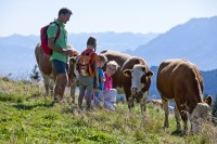 Ikarus © Berchtesgadener Land Tourismus GmbH