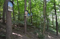 Lesní galerie v Hlubokých Mašůvkách