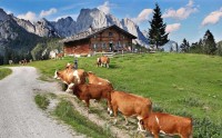 Putování po Berchtesgadenských Alpách