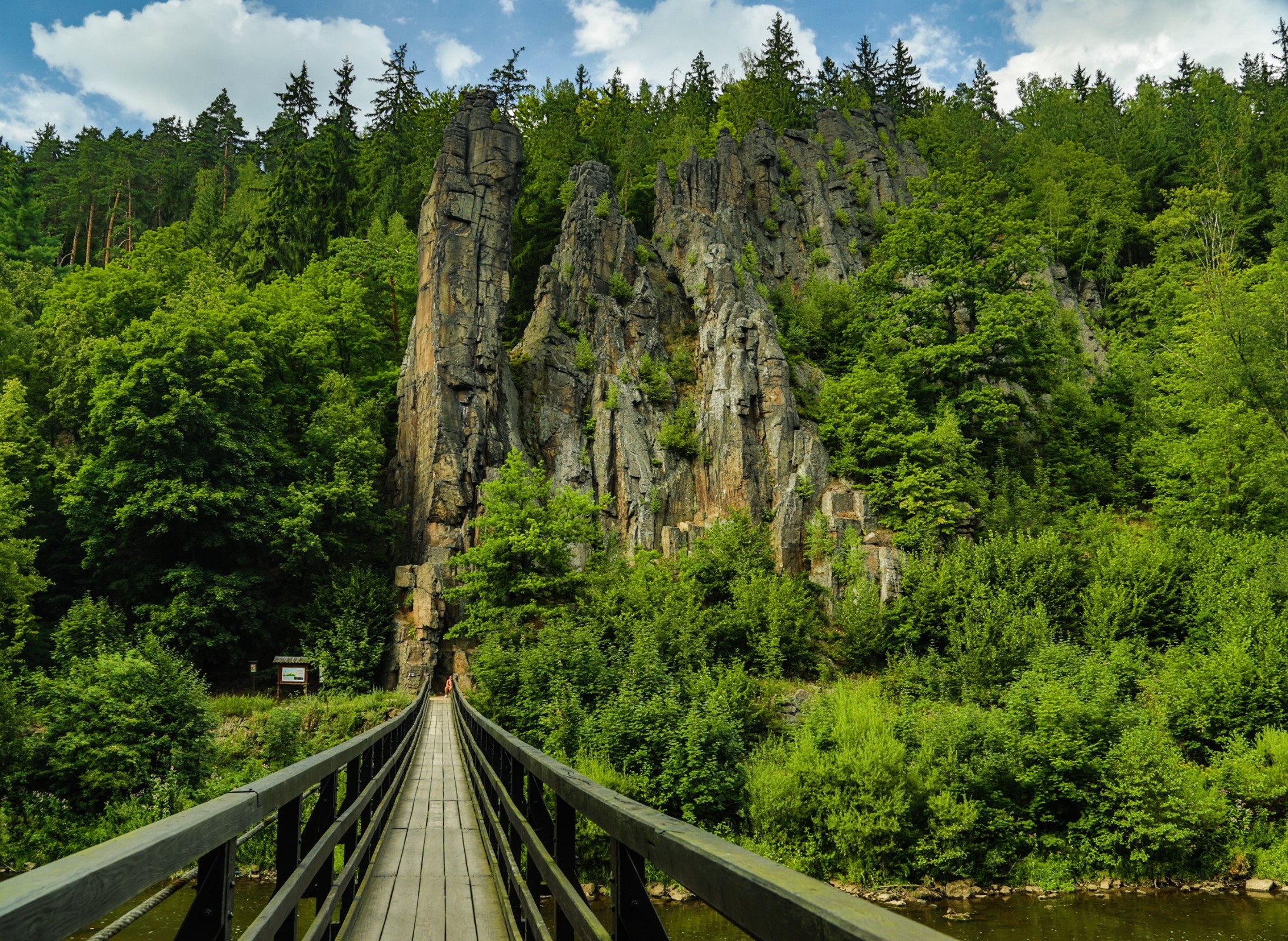 Чехия природа. Сватошские скалы в Карловых Варах. Чешский лес Чехия. Карловы вары природа. Карловы вары лес.