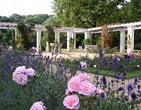 růžová zahrada ve městě Forst (c) A.Schild