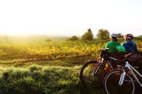 Traisental Bike (c) Niederoesterreich Werbung, Schwarz Koenig