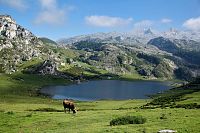 Parque Nacional Picos de Europa, první španělský národní park